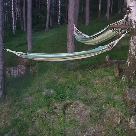 بيت خشبي Divcibarski