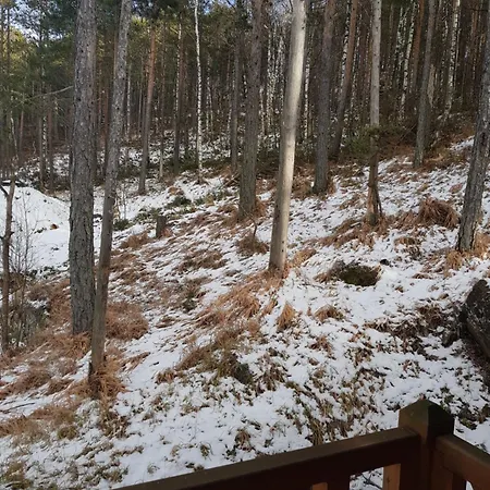 Divcibarski بيت خشبي