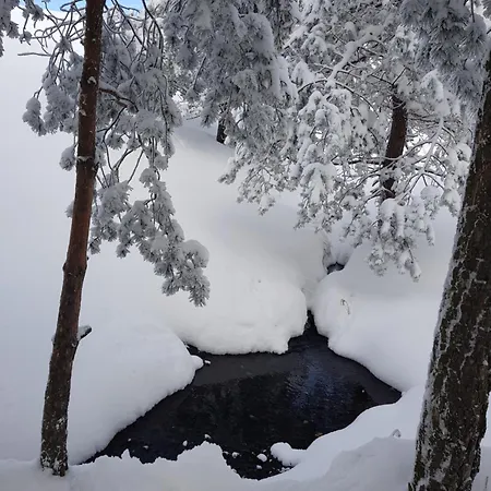 بيت خشبي Divcibarski *