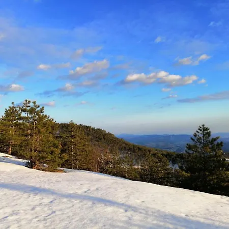 Divcibarski بيت خشبي Divčibare