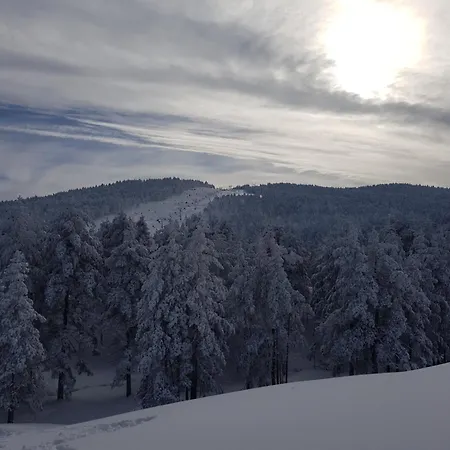 Divcibarski بيت خشبي