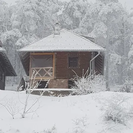 بيت خشبي Divcibarski