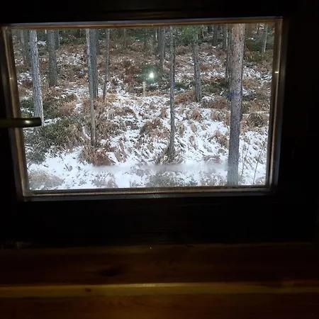 Divcibarski بيت خشبي *