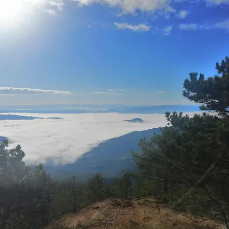 بيت خشبي Divcibarski