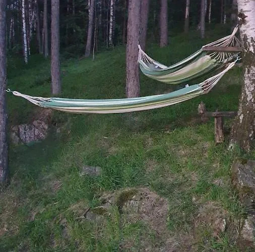 Деревянный коттедж Divcibarski