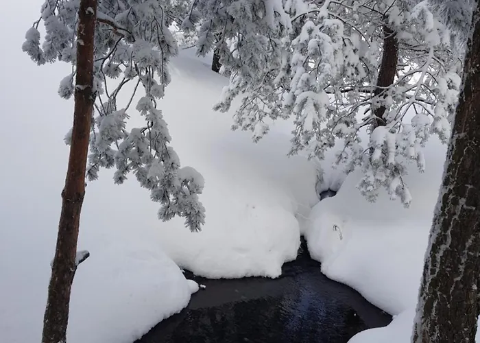 Деревянный коттедж Divcibarski *