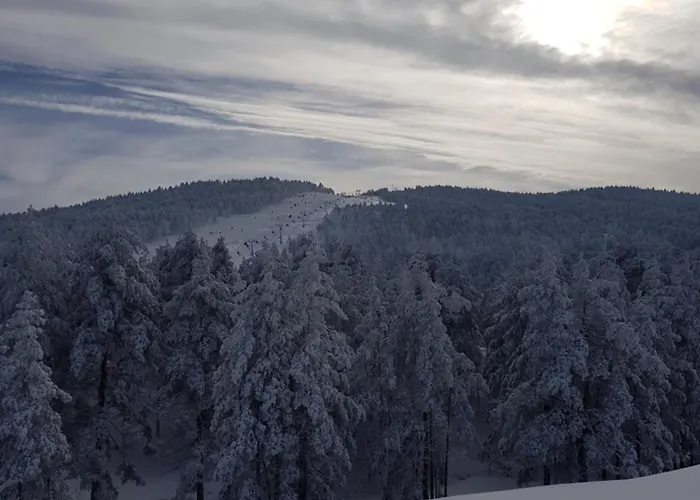 Divcibarski Деревянный коттедж