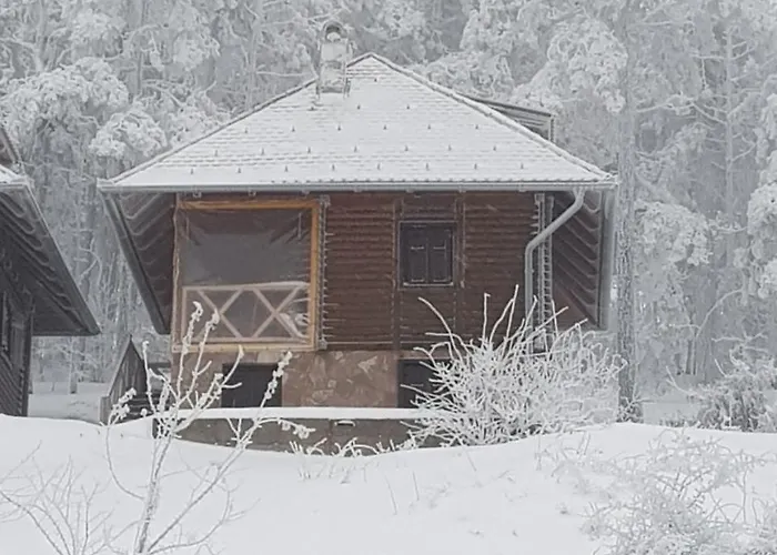 Деревянный коттедж Divcibarski