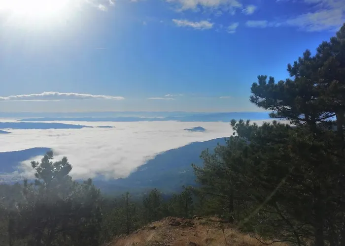 Деревянный коттедж Divcibarski